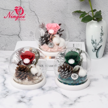 NX-1313 Chirstmas