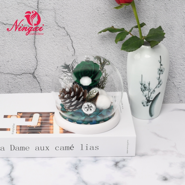 NX-1313 Chirstmas