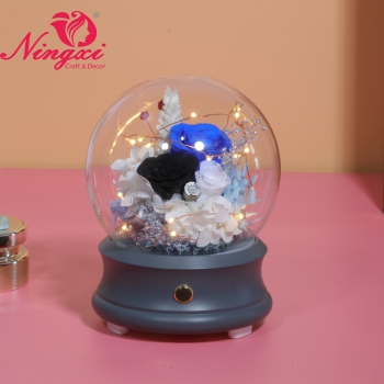 Balloon Bluetooth  Speaker