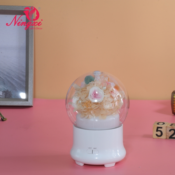 Humidifier