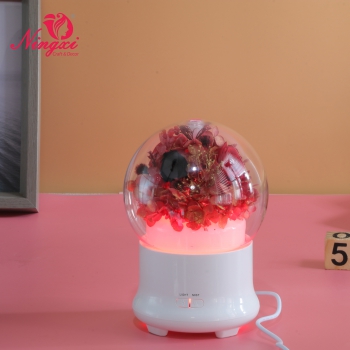 Humidifier