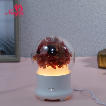 Humidifier