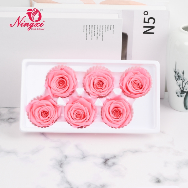 ROSE HEAD 5-6CM