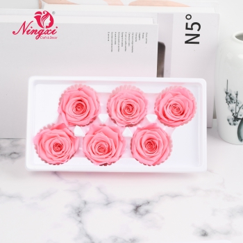 ROSE HEAD 5-6CM