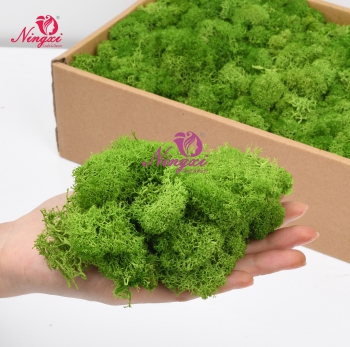MOSS
