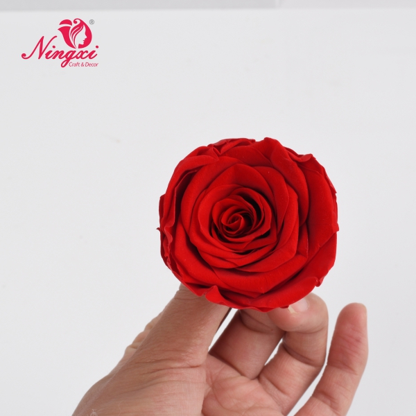 ROSE HEAD 2-3CM