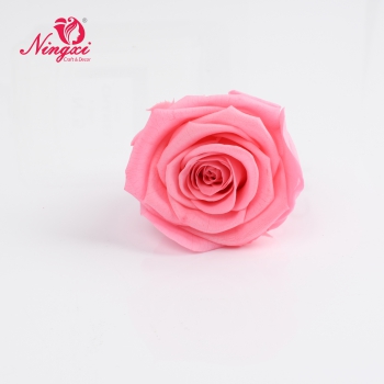 ROSE HEAD 2-3CM