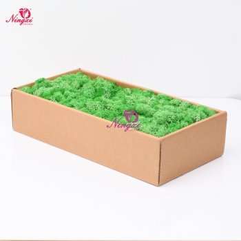 MOSS