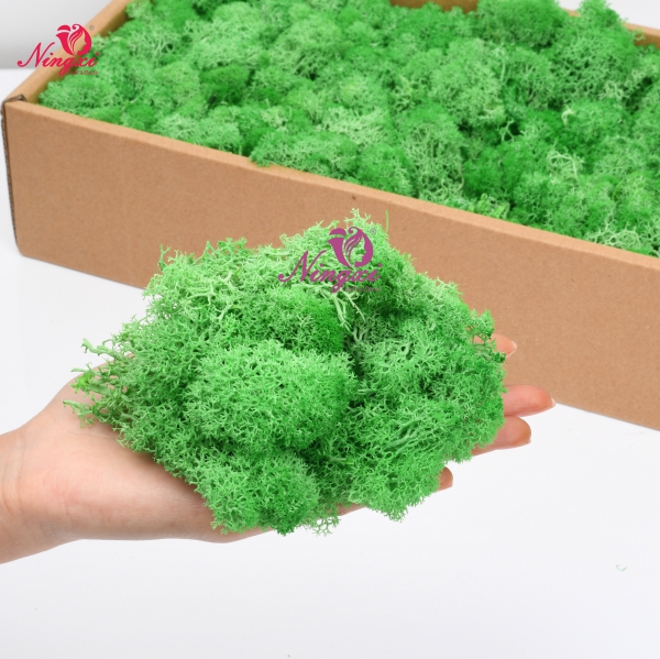 MOSS
