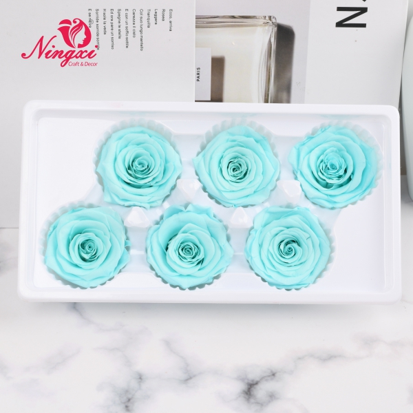 ROSE HEAD 5-6CM