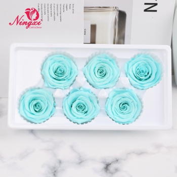 ROSE HEAD 5-6CM