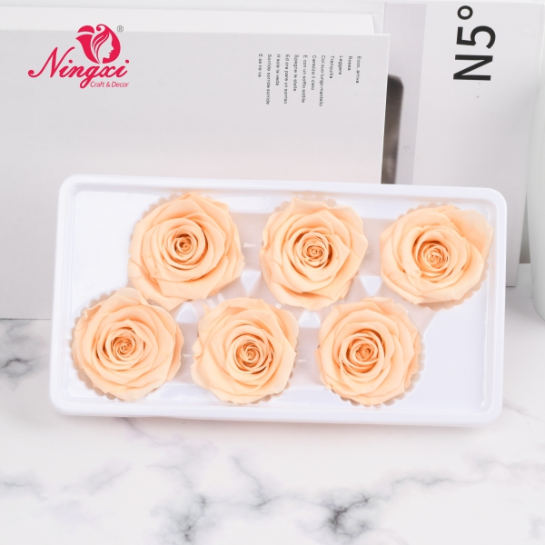 ROSE HEAD 5-6CM