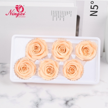 ROSE HEAD 5-6CM