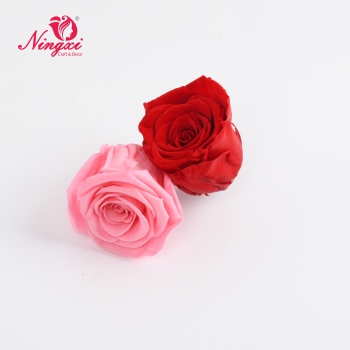 ROSE HEAD 2-3CM