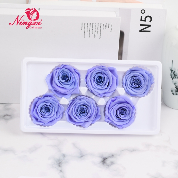 ROSE HEAD 5-6CM