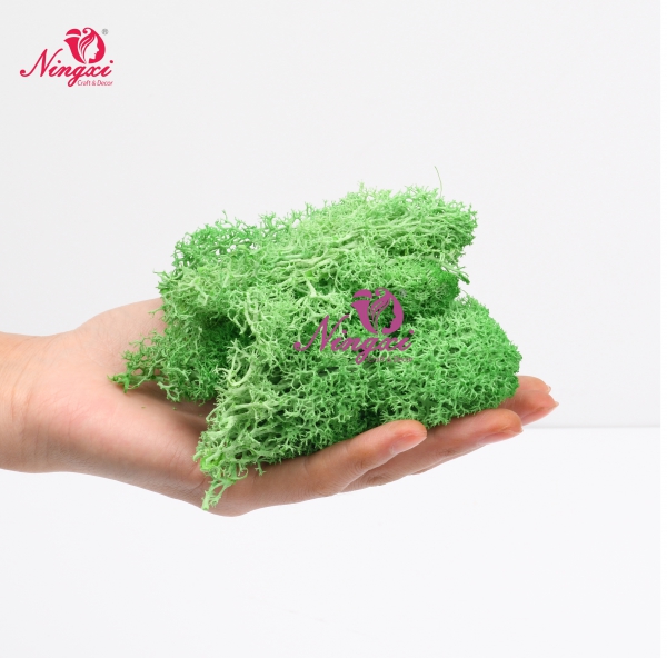 MOSS