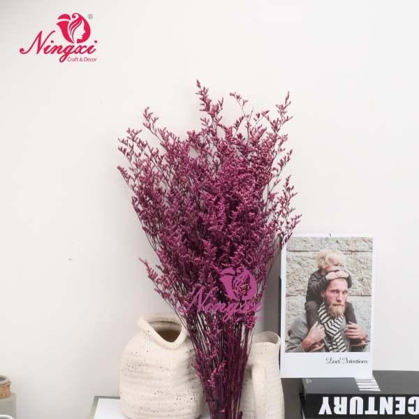 Limonium