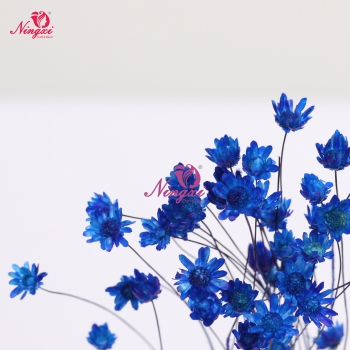 MIKADO(小星花)