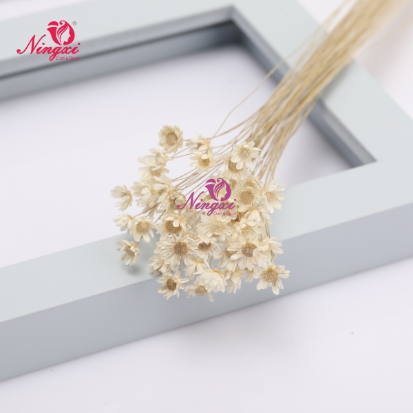 MIKADO(小星花)