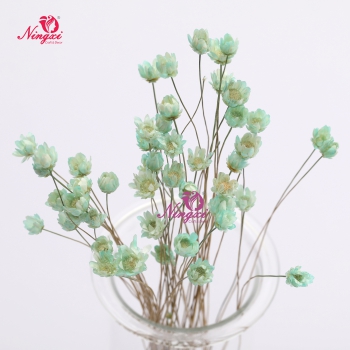MIKADO(小星花)