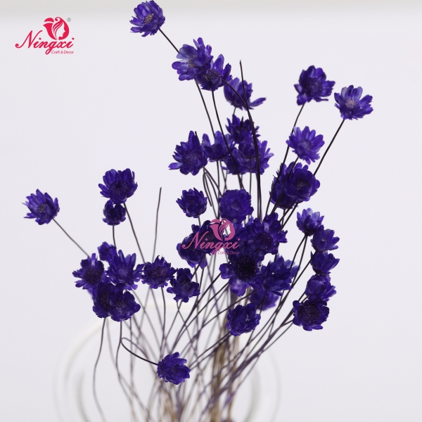 MIKADO(小星花)