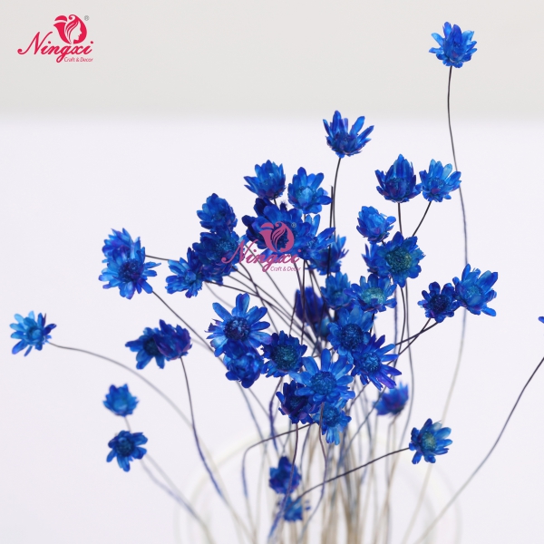 MIKADO(小星花)